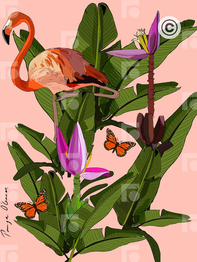 Flamingos and Banana Flowers