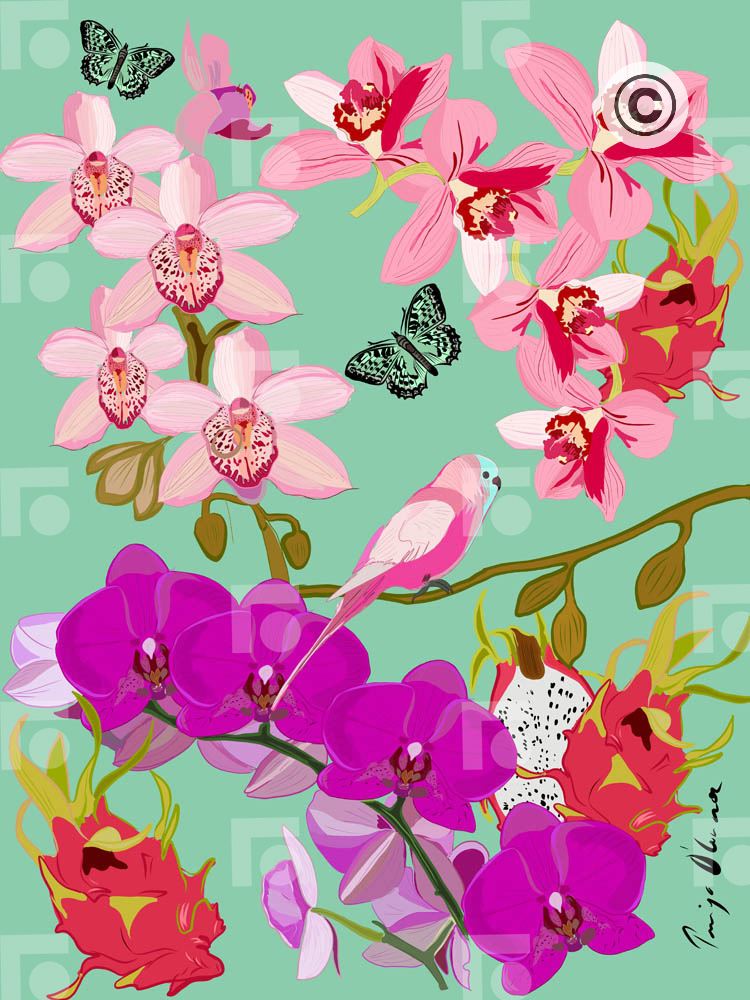 Lovebirds and Orchids